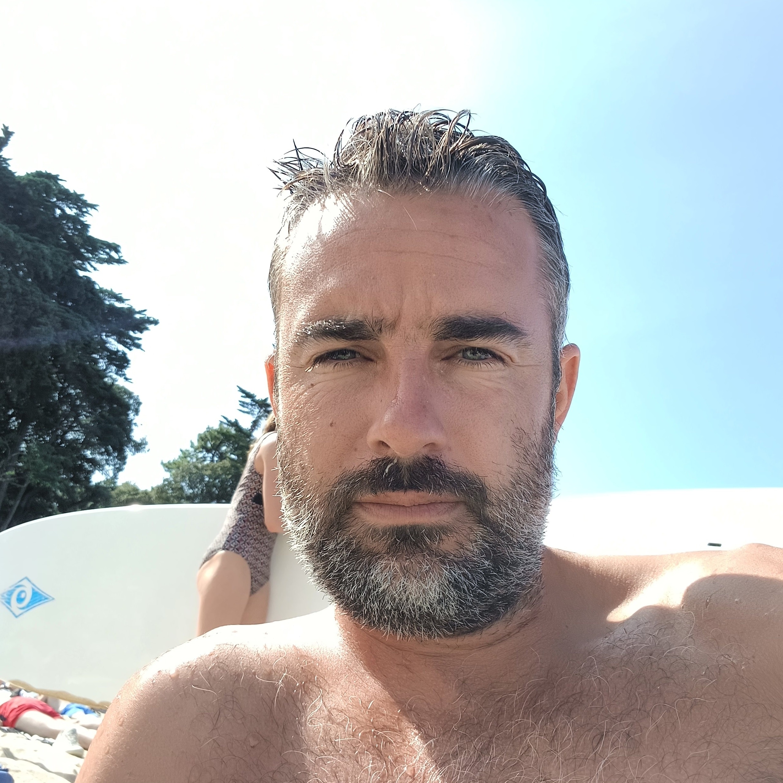 Perfil de Zygmond