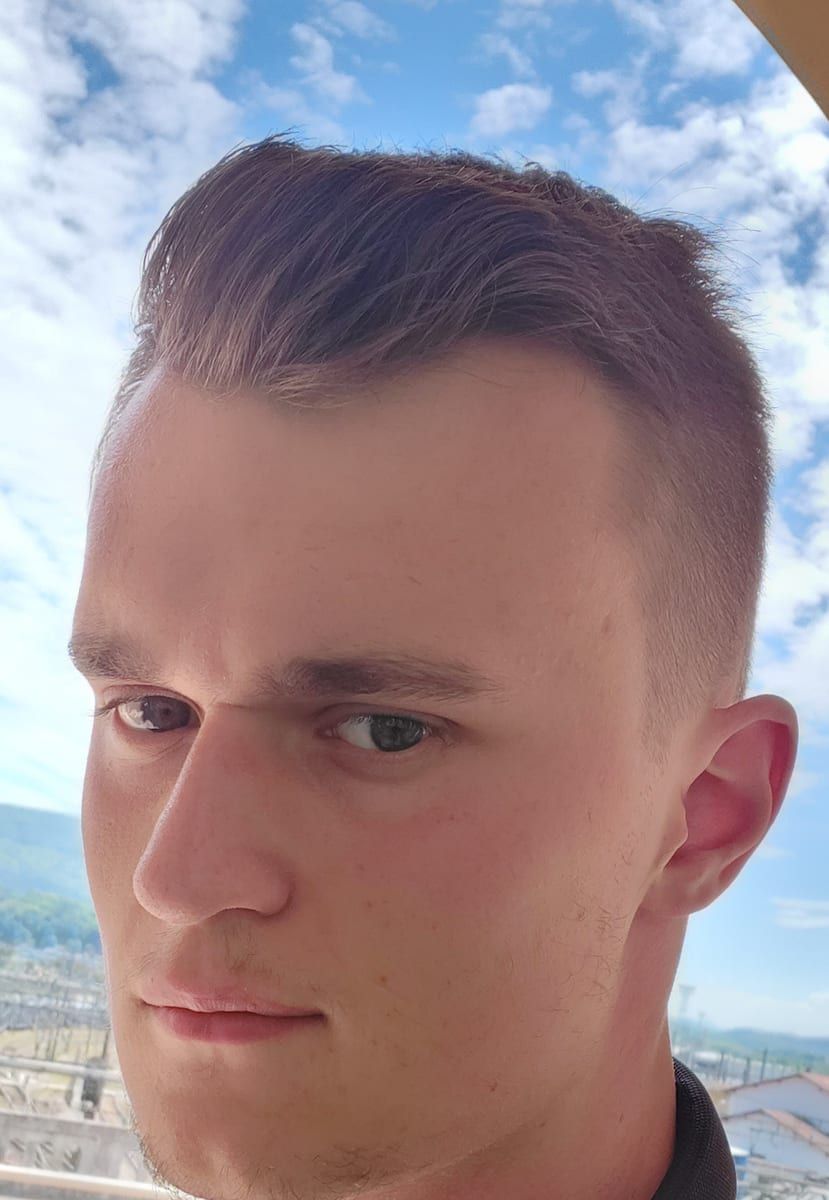 Perfil de Ludvik